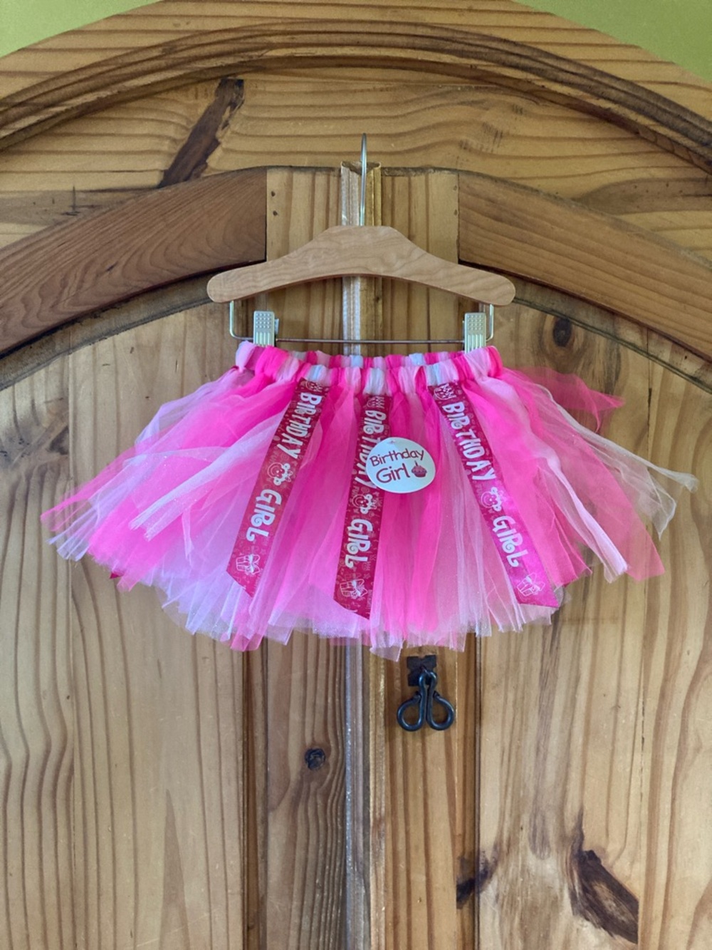 Girls Princess Expressions Birthday Girl pink tutu skirt one size - NWT